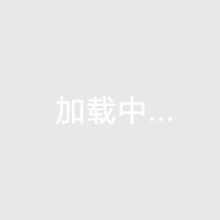中U17联赛